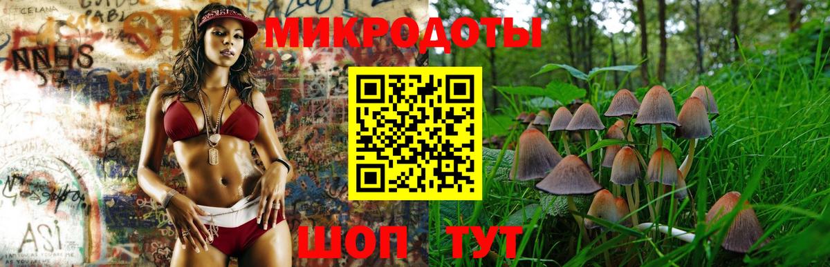 Галлюциногенные грибы ЛСД  Псилоцибиновые грибы Psilocybe  Кинель  хочу наркоту  Вход с VPN 